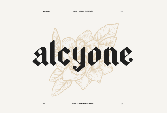 Alcyone: A Bold Font for Web Design